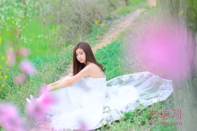 中式婚纱风格有哪几种
